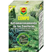 Los mejores  - COMPO Antiamarronamiento de coníferas de larga duración- Para todo tipo de coníferas y plantas de hoja perenne- 1 kg